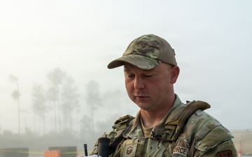 Faces of Mosaic Tiger 26-1