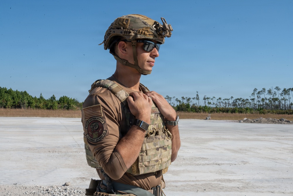 Faces of Mosaic Tiger 26-1