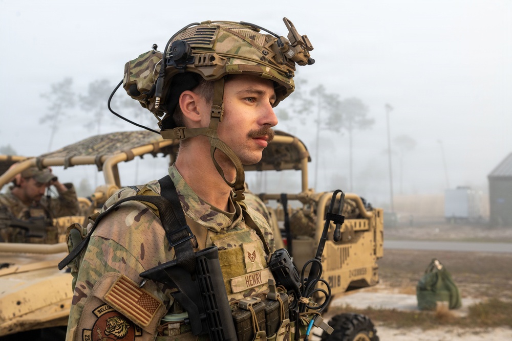 Faces of Mosaic Tiger 26-1