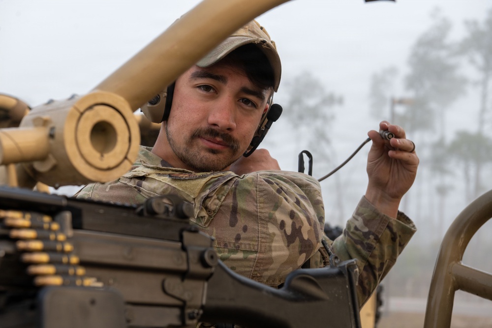 Faces of Mosaic Tiger 26-1