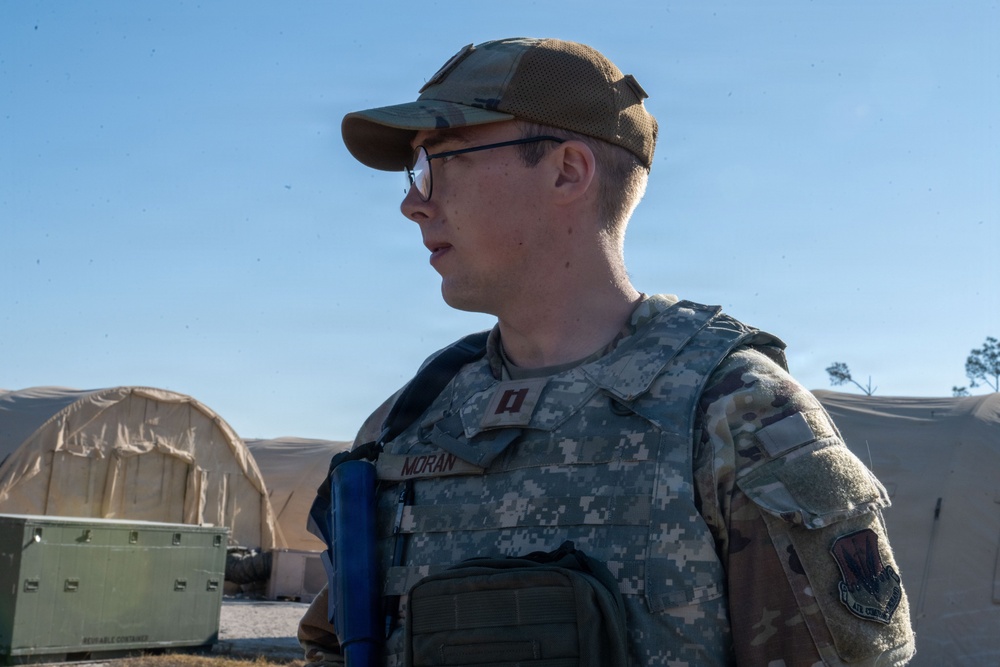 Faces of Mosaic Tiger 26-1