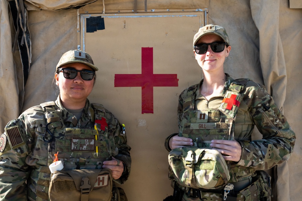 Faces of Mosaic Tiger 26-1