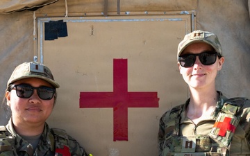 Faces of Mosaic Tiger 26-1