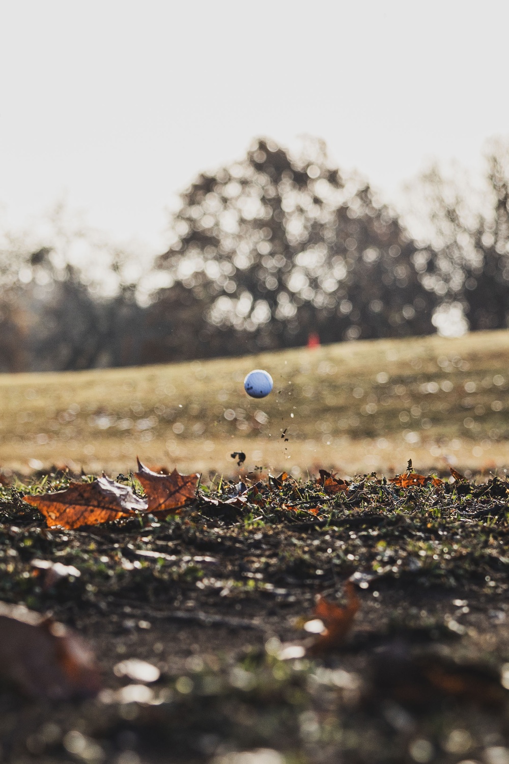 Diamond Brigade Golf Scramble