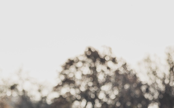 Diamond Brigade Golf Scramble