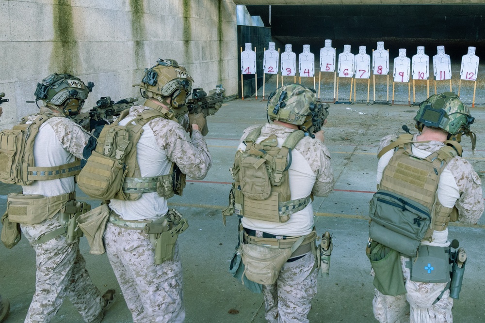Reconnaissance Marines with the 24th Marine Expeditionary Unit conduct rifle shooting drills