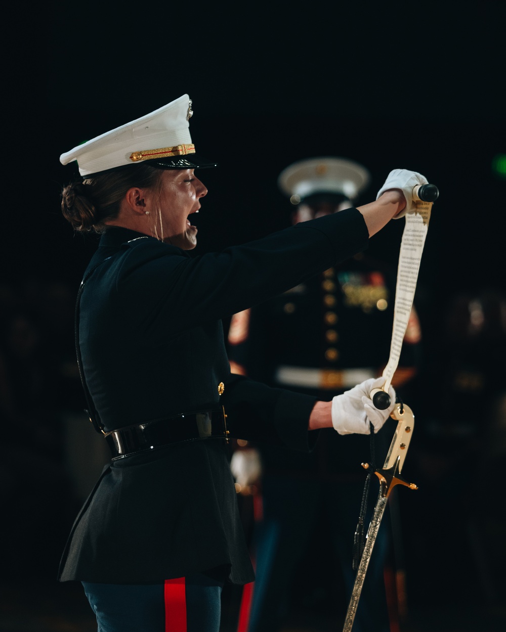 250th Marine Corps Recruit Depot Birthday Ball