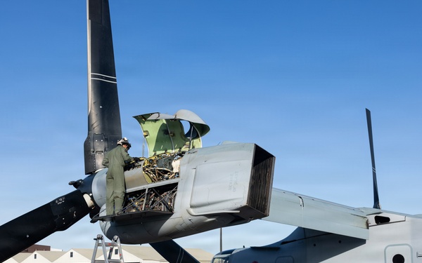 VMM-262 fly to Philippines for Foreign Disaster Relief