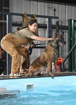 RAFM MWDs perform first water-confidence training in tri-base, UK