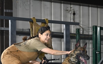 RAFM MWDs perform first water-confidence training in tri-base, UK