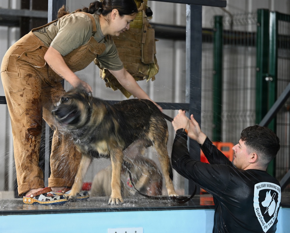 RAFM MWDs perform first water-confidence training in tri-base, UK
