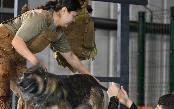 RAFM MWDs perform first water-confidence training in tri-base, UK