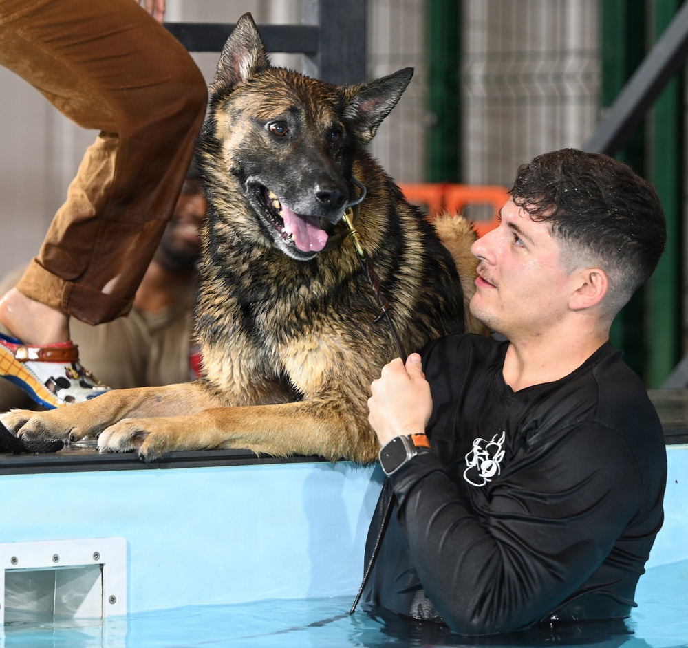 RAFM MWDs perform first water-confidence training in tri-base, UK