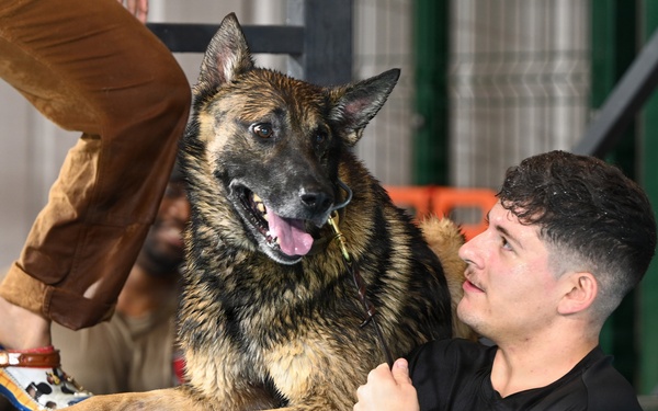 RAFM MWDs perform first water-confidence training in tri-base, UK