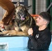 RAFM MWDs perform first water-confidence training in tri-base, UK