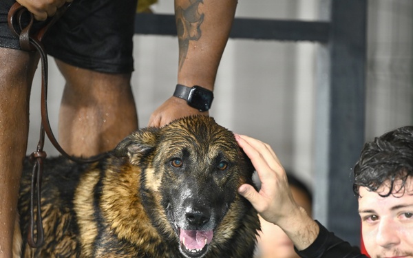 RAFM MWDs perform first water-confidence training in tri-base, UK