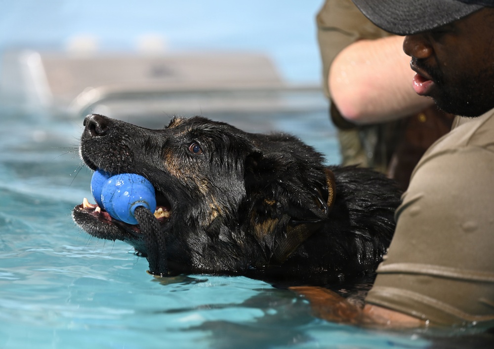 RAFM MWDs perform first water-confidence training in tri-base, UK