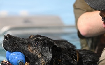 RAFM MWDs perform first water-confidence training in tri-base, UK