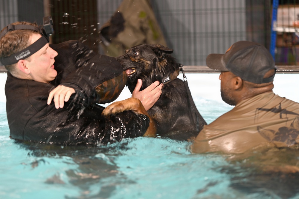RAFM MWDs perform first water-confidence training in tri-base, UK