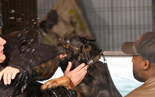 RAFM MWDs perform first water-confidence training in tri-base, UK