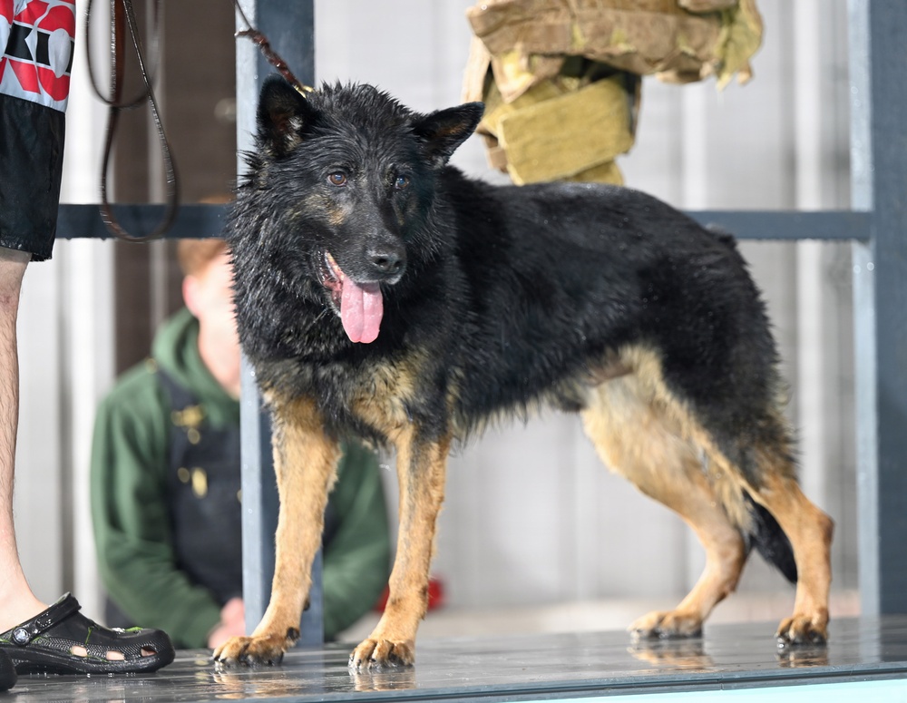 RAFM MWDs perform first water-confidence training in tri-base, UK