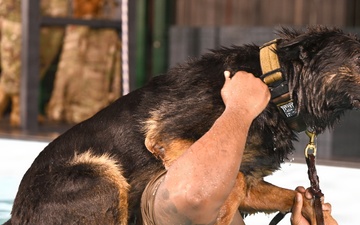 RAFM MWDs perform first water-confidence training in tri-base, UK