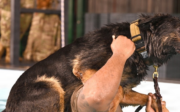RAFM MWDs perform first water-confidence training in tri-base, UK