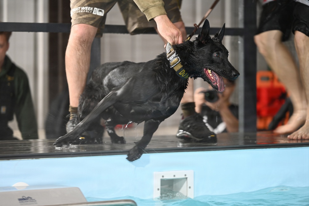 RAFM MWDs perform first water-confidence training in tri-base, UK