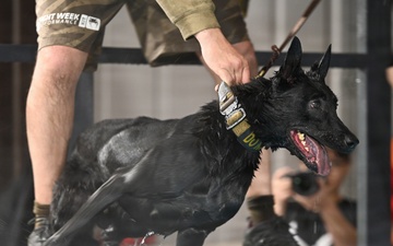 RAFM MWDs perform first water-confidence training in tri-base, UK
