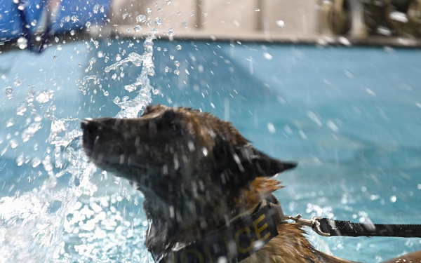 RAFM MWDs perform first water-confidence training in tri-base, UK