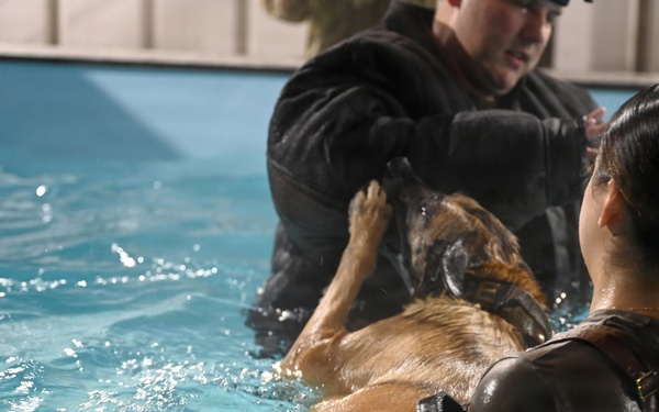 RAFM MWDs perform first water-confidence training in tri-base, UK