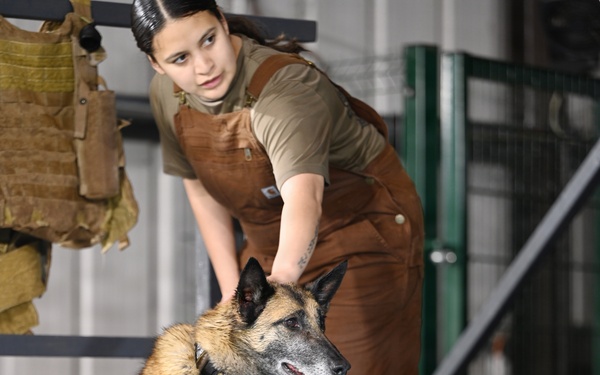 RAFM MWDs perform first water-confidence training in tri-base, UK