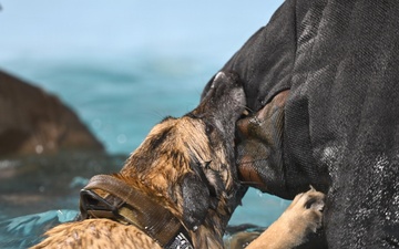 RAFM MWDs perform first water-confidence training in tri-base, UK
