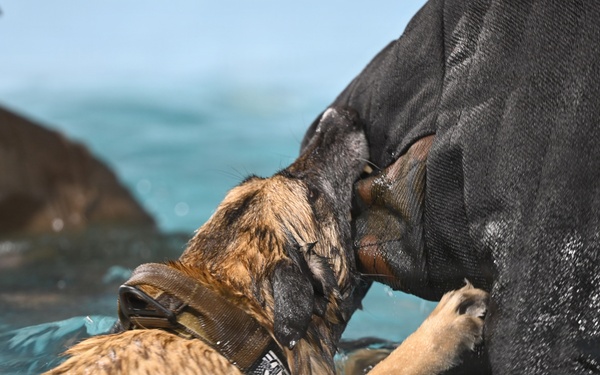 RAFM MWDs perform first water-confidence training in tri-base, UK