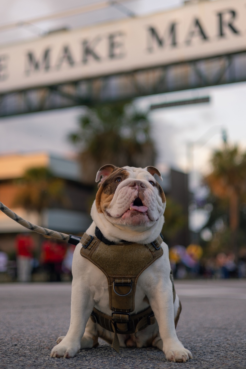 Golf Company Motivational Run