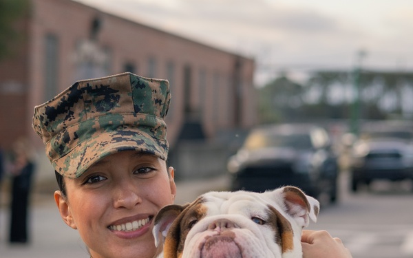 Golf Company Motivational Run