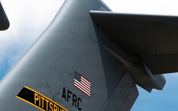 Flash of black and gold