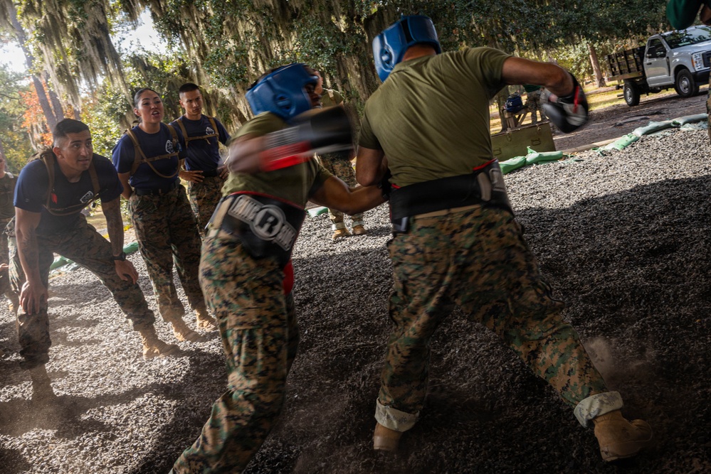 November Company Sparring