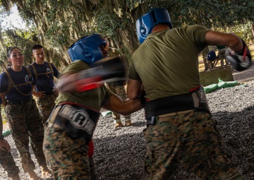 November Company Sparring