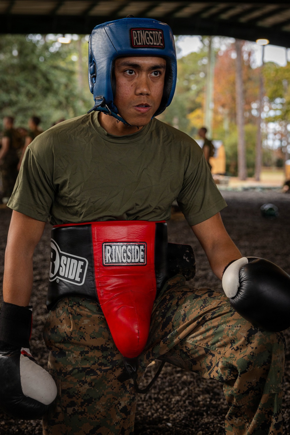 November Company Sparring