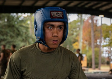 November Company Sparring