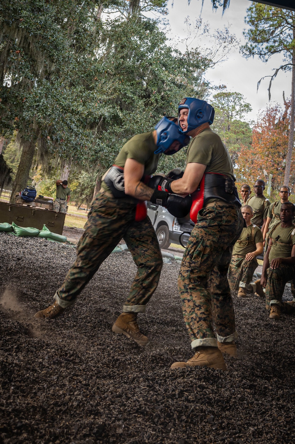 November Company Sparring