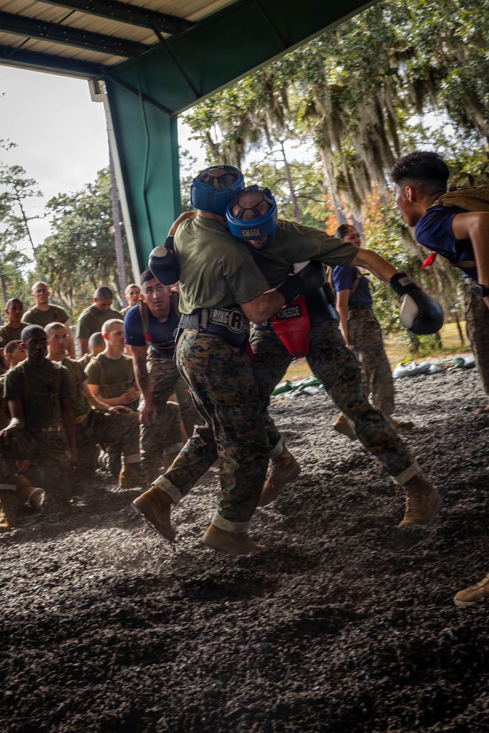 November Company Sparring