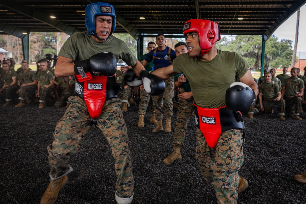 November Company Sparring