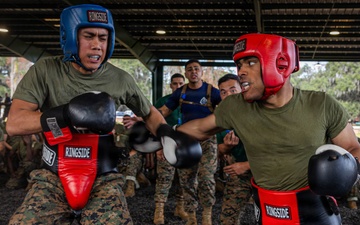 November Company Sparring