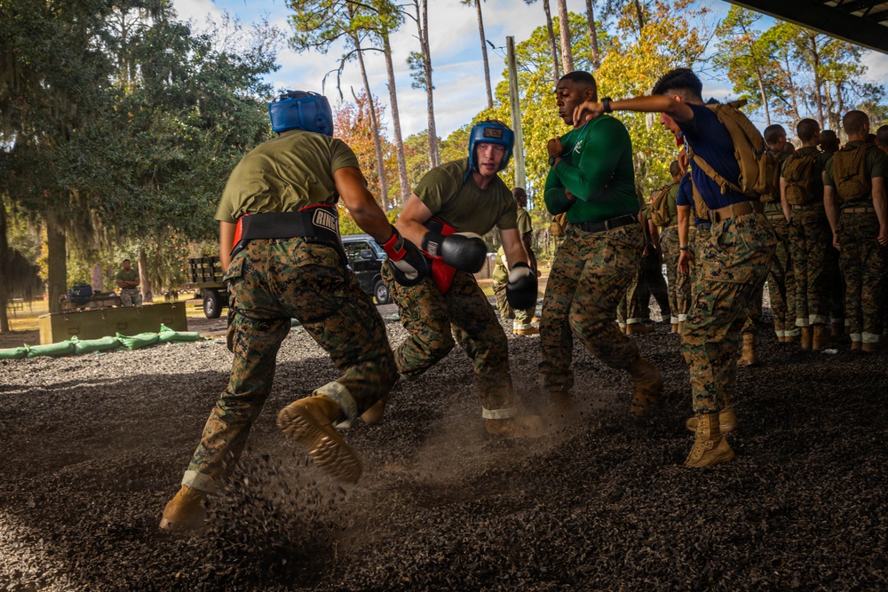 November Company Sparring