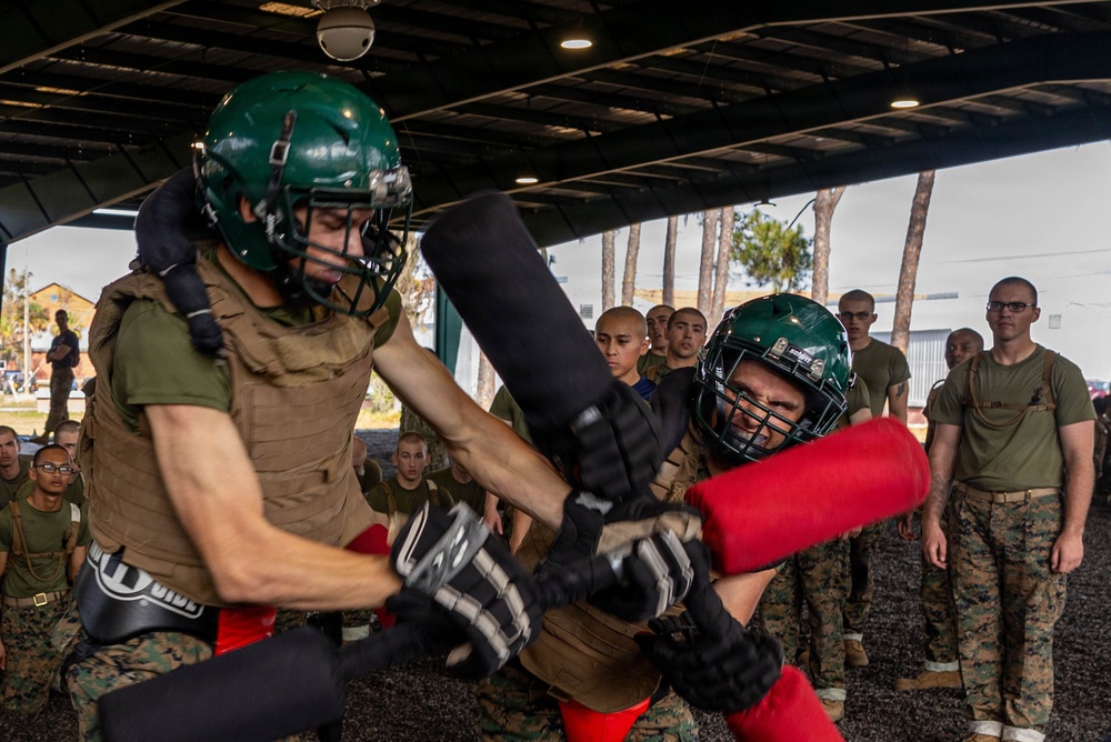 November Company Sparring