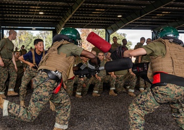 November Company Sparring
