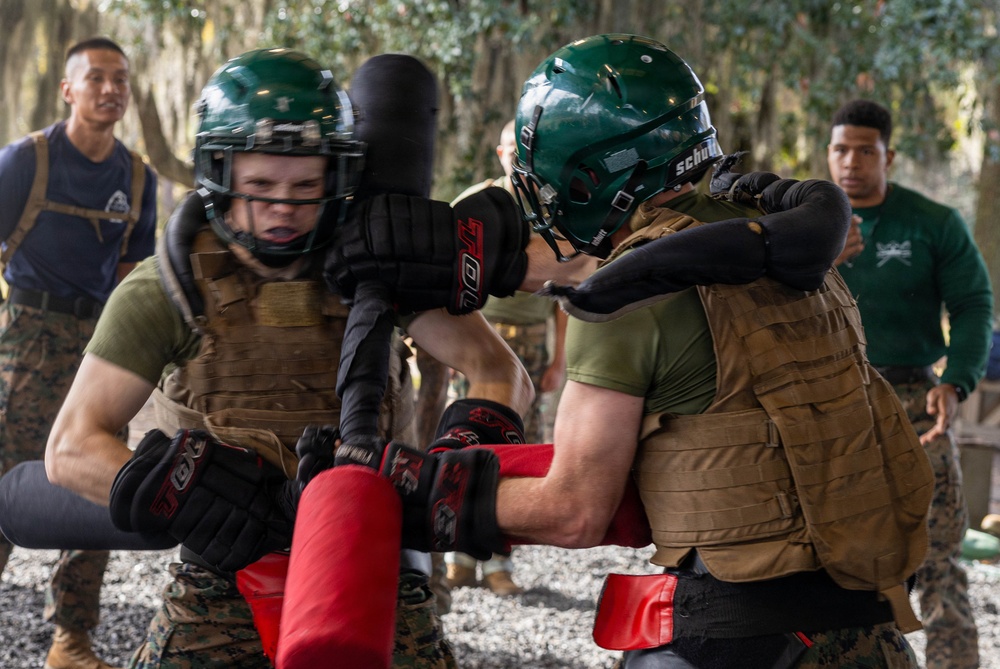November Company Sparring