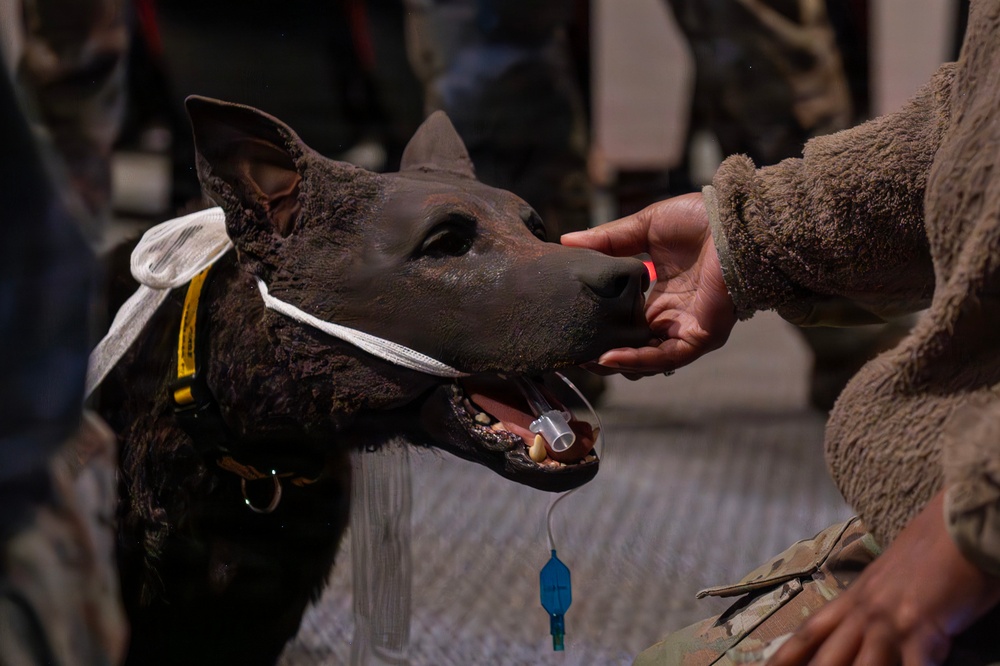 Fairchild AFB enhances medical readiness with K-9 Tactical Combat Casualty Care